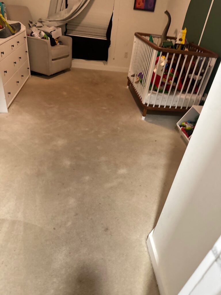 Carpet Masters doing a carpet cleaning project in a room with visible dirt and stains on the carpet.