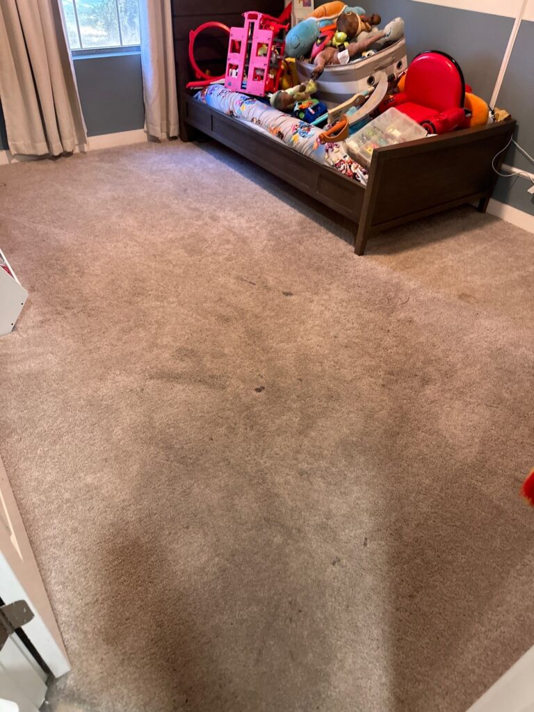 carpet masters doing a carpet cleaning project in a room with toys and a bed.