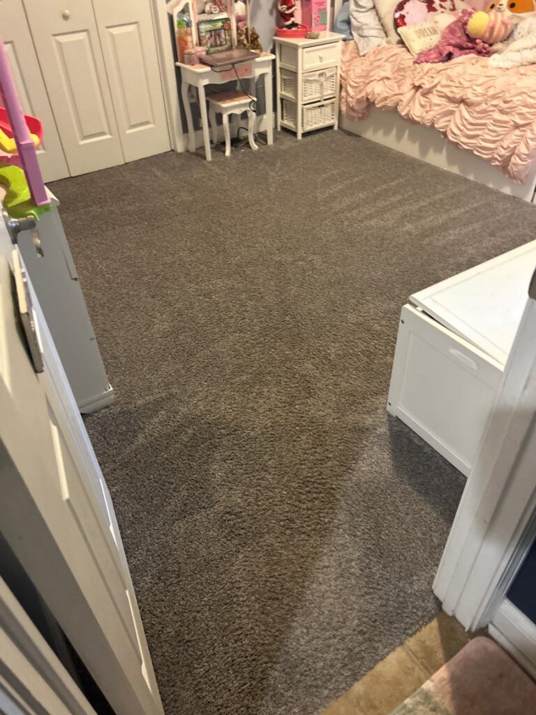 carpet masters doing a carpet cleaning project.