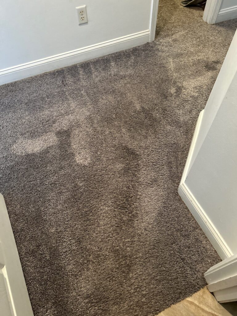 carpet masters doing a carpet cleaning project.